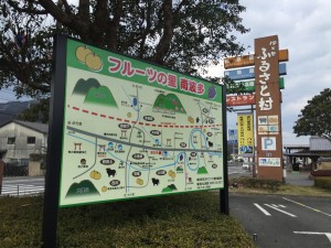 IMG_4750.JPG
