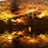 佐賀県武雄市　御船山楽園、紅葉のライトアップを見てきました!!